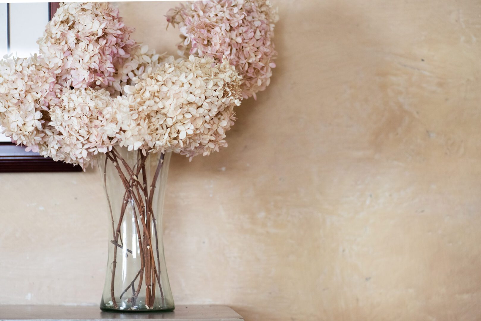 Pale pink and cream dried hydrangeas against a textured beige wall